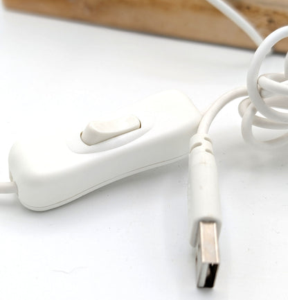 Personalisierte LED-Pfoten-Lampe mit Namen – Liebevolle Erinnerung an deinen Vierbeiner