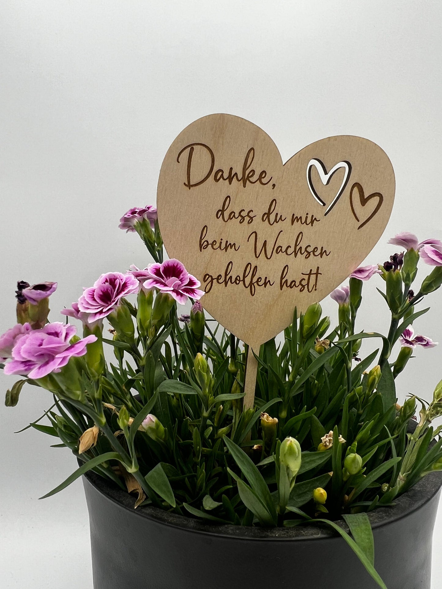 Blumenstecker aus Holz, Geschenk Personalisiert Abschied Kindergarten, Tagesmutter, Schulabschluss, Blumenschild mit Namen, Danke sagen