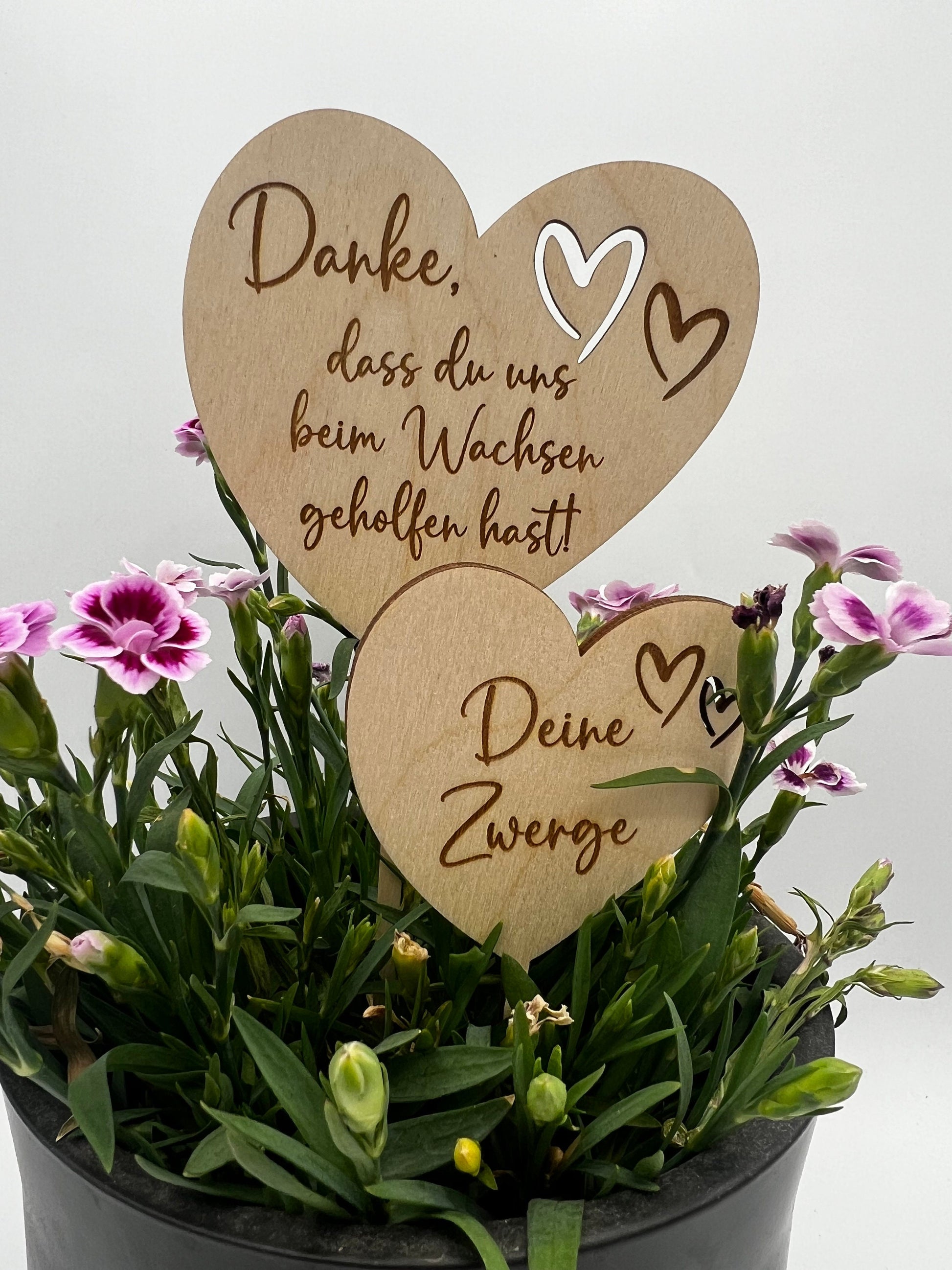 Blumenstecker aus Holz, Geschenk Personalisiert Abschied Kindergarten, Tagesmutter, Schulabschluss, Blumenschild mit Namen, Danke sagen